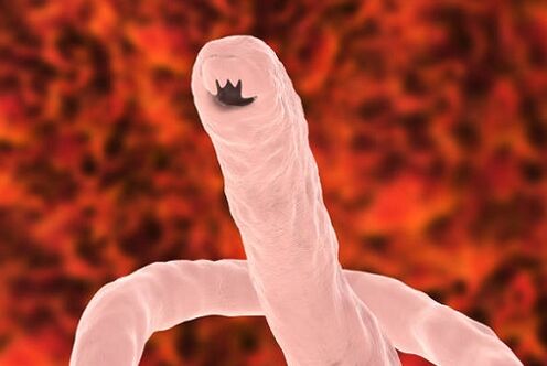 ljudski parazitski crv